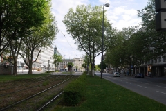 Straßenbäume in München-Sonnenstraße - Foto: Annette Heuwinkel-Otter