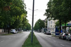 Straßenbäume in Münhen Ungerer Straße - Foto: Annette Heuwinkel-Otter
