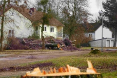 Angst vor "Gefahrenbäumen" Kahlschlag in der "Britensiedlung", Detmold - Foto: Frank Möller