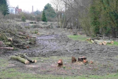 "Hochwassersschutz" an der Bega in Lemgo. Hierfür wurden über 100 Bäume gefällt. Gesunde Wälder und ökologischer Landbau sind der beste Hochwasserschutz - Foto: Frank Möller